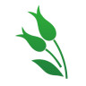 薏米医生app