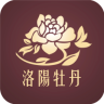 洛阳牡丹app