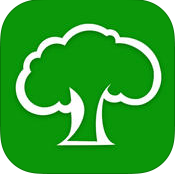 那年app