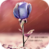 执子手等花开app