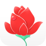 花开了苹果版