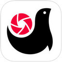 腾讯画报IOS