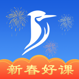 百通世纪appipad