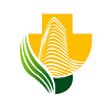 市一宝山分院app