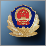 武汉民生警务app