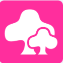 知妈树app