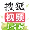 搜狐视频ios