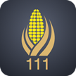 111域名app