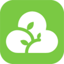平果病历app