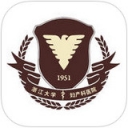 浙大妇院手机app