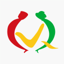 维情网app