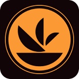 懂菜手机版