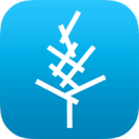 高木学习app