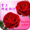 鲜花预订app