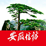 安徽手机信访app