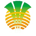 蜂蜜网app