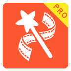 videoshowpro