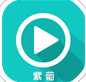 紫葡云娱乐