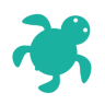 海龟出行app