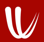 windyty安卓