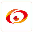 dozeny手机端app