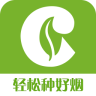 金叶在线app最新版
