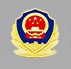 武汉公安云端窗口app