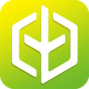 春稻田app