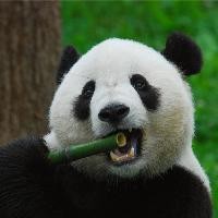 科技的殿堂软件24