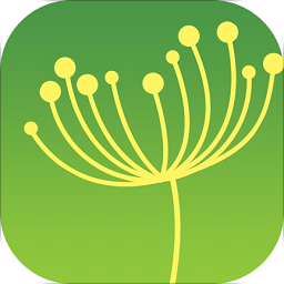 蒲公英TVapp