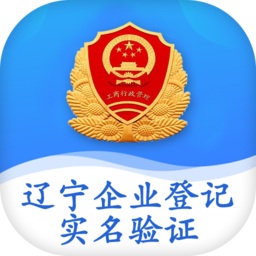 辽宁企业登记实名验证ap
