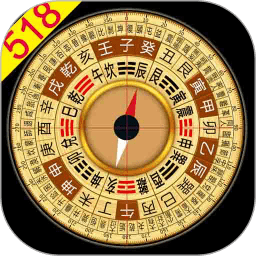 大宇风水罗盘518
