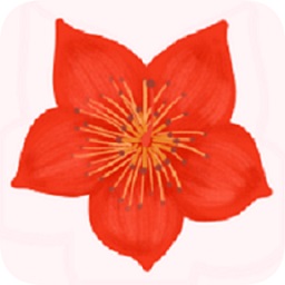爱我崇左app