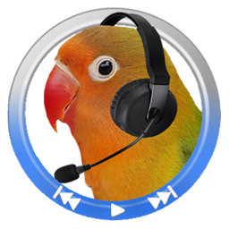 经典复读机app