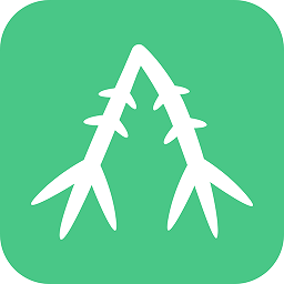 e知竹网app