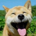 精美短文宝软件