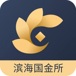 滨海国金所app