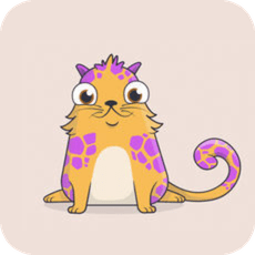以太猫app