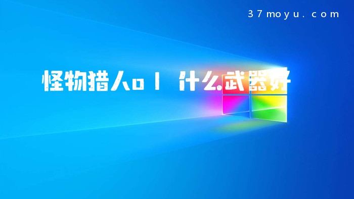 怪物猎人ol什么武器好