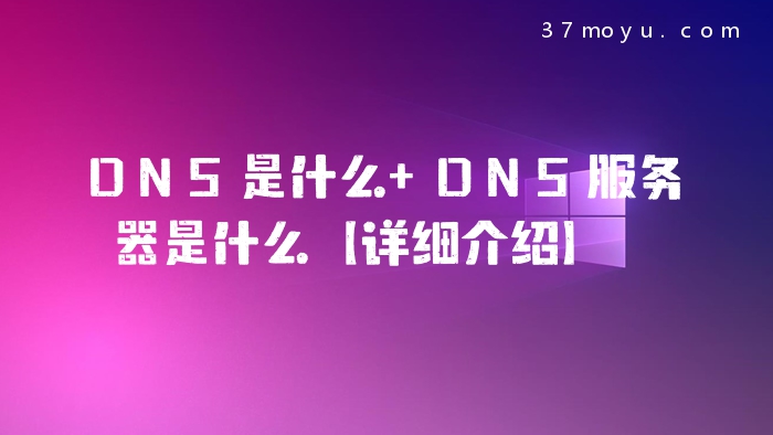 DNS是什么 DNS服务器是