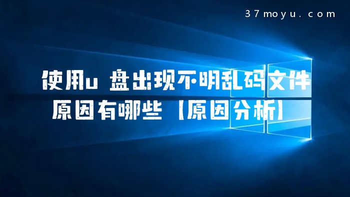 使用u盘出现不明乱码文