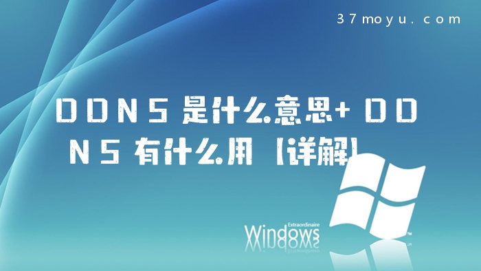 DDNS是什么意思 DDNS有