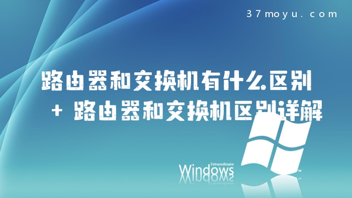 路由器和交换机有什么区