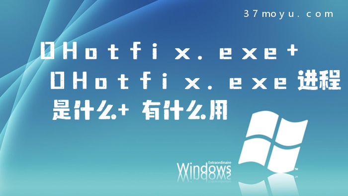 OHotfix.exe OHotfix.ex