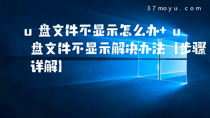 u盘文件不显示怎么办 u