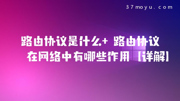 路由协议是什么 路由协