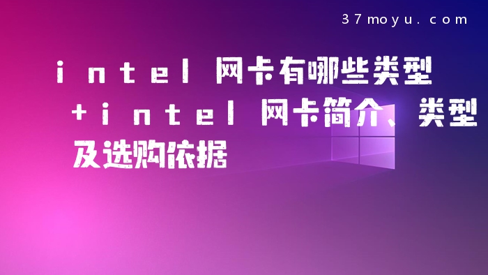 intel网卡有哪些类型 in