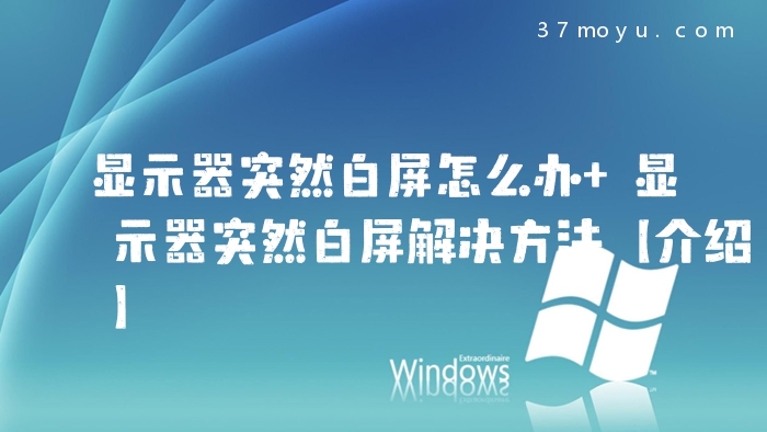 显示器突然白屏怎么办 
