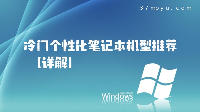 冷门个性化笔记本机型推