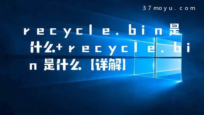 recycle.bin是什么 recy